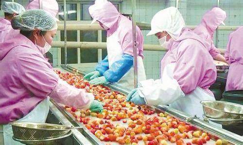轉型升級之路 我國農產品加工業的挑戰與機遇